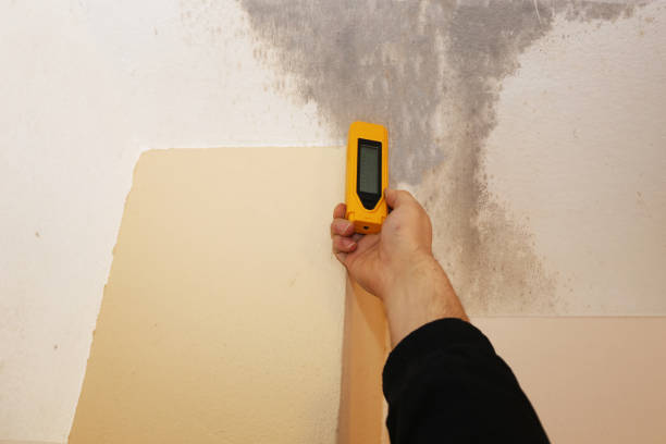 Best Crawl Space Mold Remediation  in Sun City West, AZ