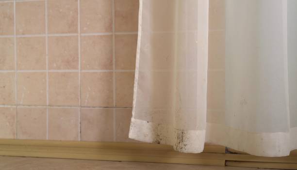 Best Mold Documentation for Insurance Claims  in Sun City West, AZ