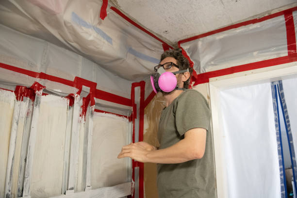Professional Mold Removal in Sun City West, AZ