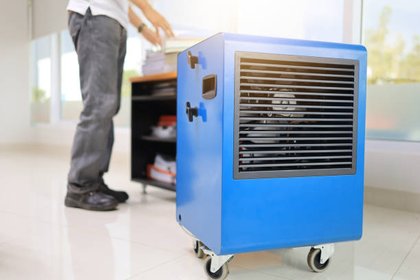 Best Comprehensive Air Testing for Mold Contaminants  in Sun City West, AZ