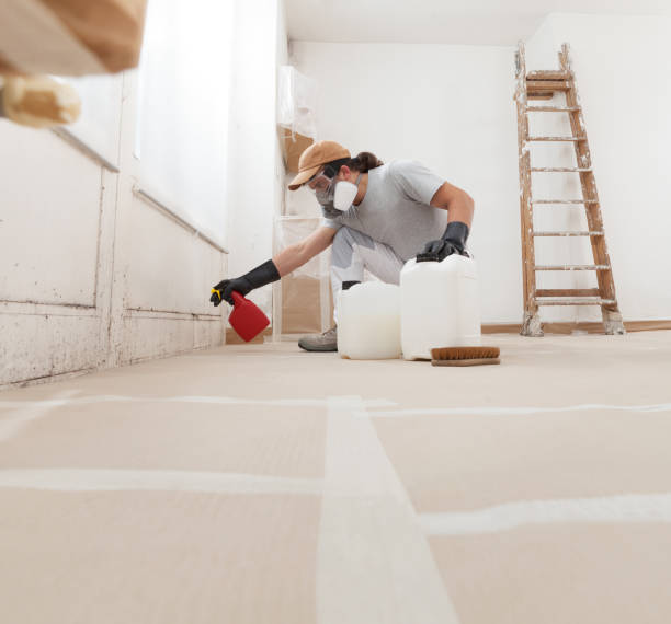 Biohazard Mold Removal in Sun City West, AZ
